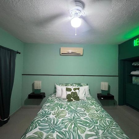 Dici Co-Living Housing Cabo San Lucas Bed and Breakfast Eksteriør billede