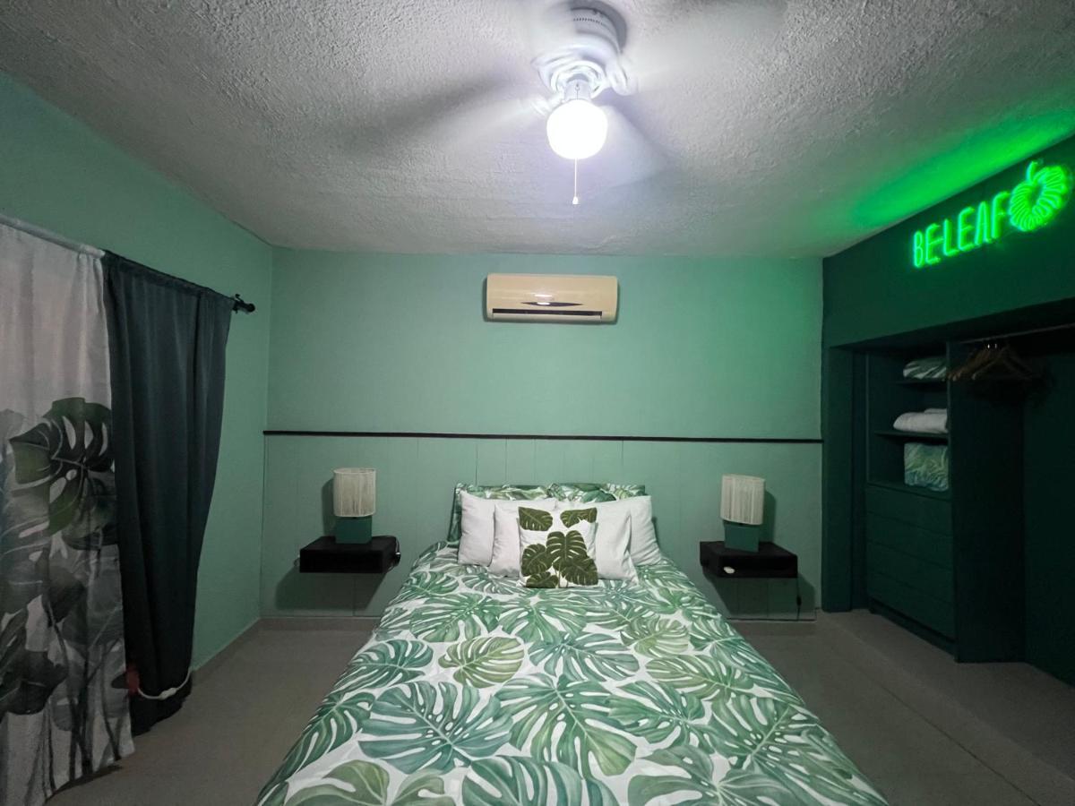 Dici Co-Living Housing Cabo San Lucas Bed and Breakfast Eksteriør billede