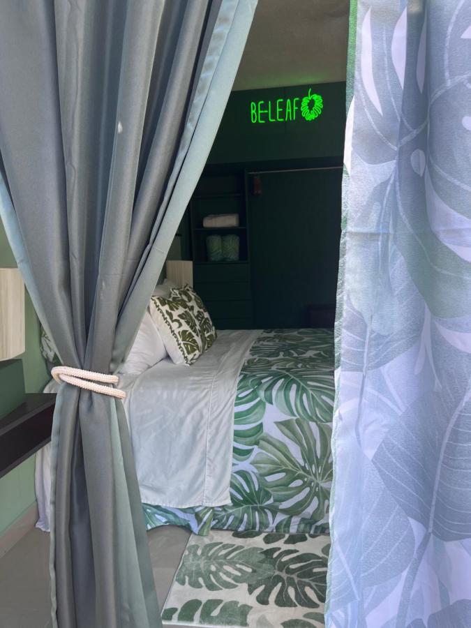 Dici Co-Living Housing Cabo San Lucas Bed and Breakfast Eksteriør billede