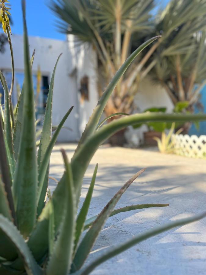 Dici Co-Living Housing Cabo San Lucas Bed and Breakfast Eksteriør billede