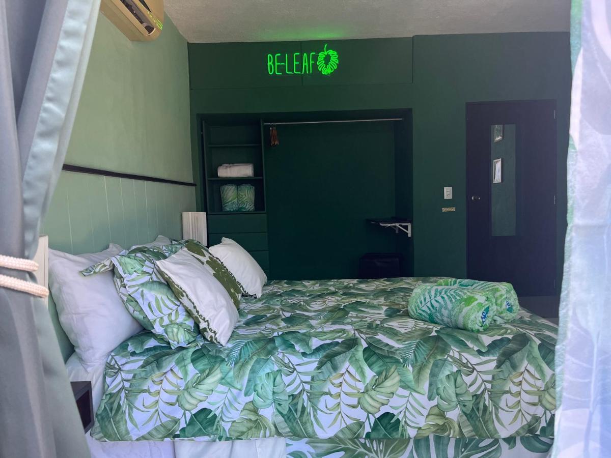 Dici Co-Living Housing Cabo San Lucas Bed and Breakfast Eksteriør billede
