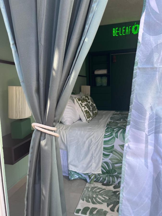 Dici Co-Living Housing Cabo San Lucas Bed and Breakfast Eksteriør billede