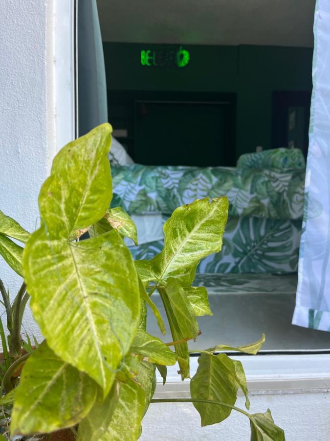 Dici Co-Living Housing Cabo San Lucas Bed and Breakfast Eksteriør billede