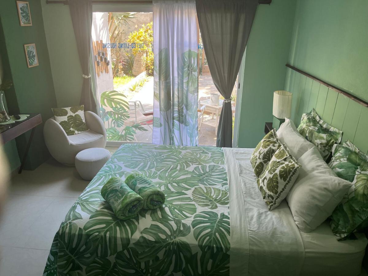 Dici Co-Living Housing Cabo San Lucas Bed and Breakfast Eksteriør billede
