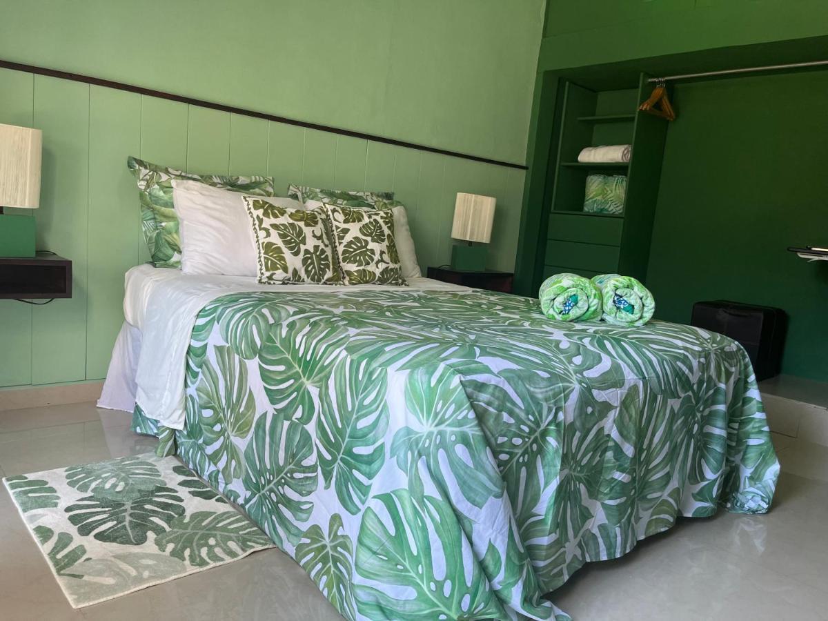 Dici Co-Living Housing Cabo San Lucas Bed and Breakfast Eksteriør billede