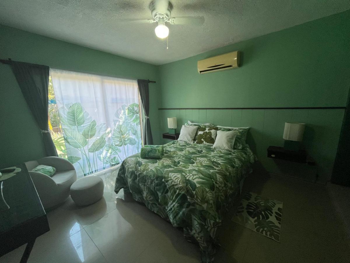 Dici Co-Living Housing Cabo San Lucas Bed and Breakfast Eksteriør billede