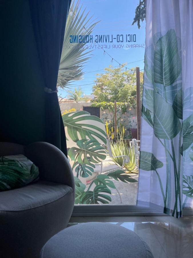Dici Co-Living Housing Cabo San Lucas Bed and Breakfast Eksteriør billede