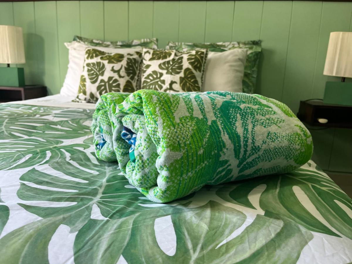 Dici Co-Living Housing Cabo San Lucas Bed and Breakfast Eksteriør billede